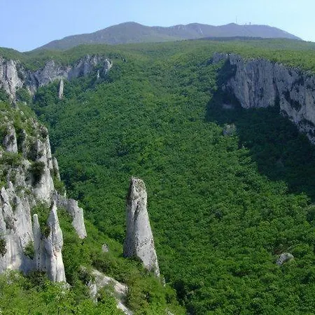 Adriatic Apartment *