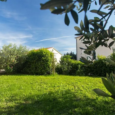 Adriatic Apartment