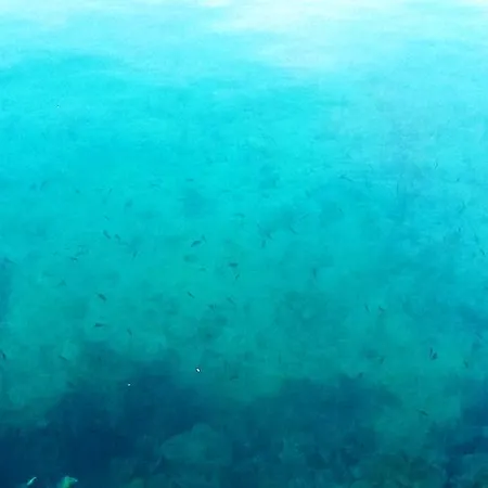 Adriatic * Selce