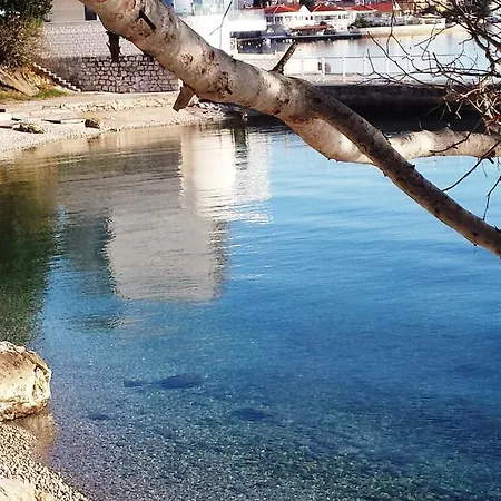 Adriatic Selce