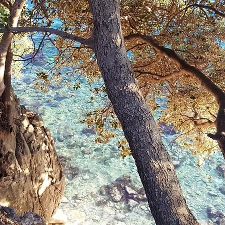 Appartamento Adriatic