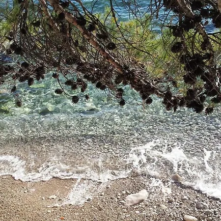 Adriatic *